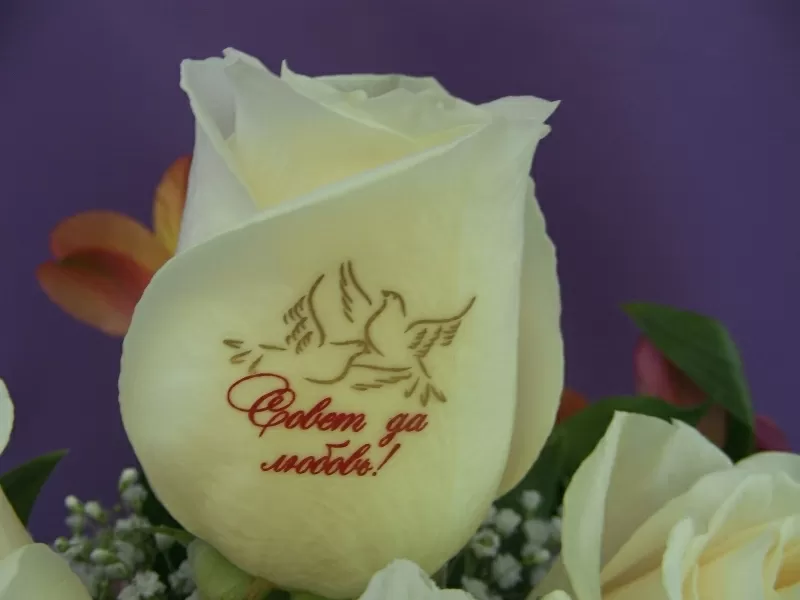 Наклейки на цветы, говорящие цветы, пленка для наклеек на цветы.