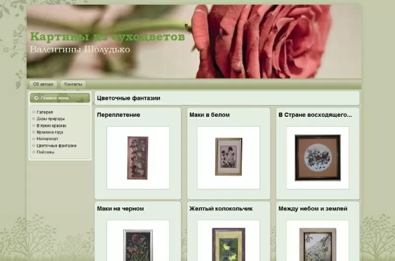 Сайт визитка - Интернет магазин от 200 грн. 3