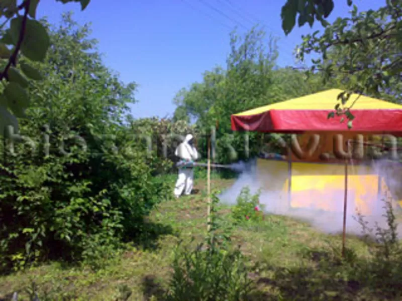 Уничтожение вредных насекомых. 4