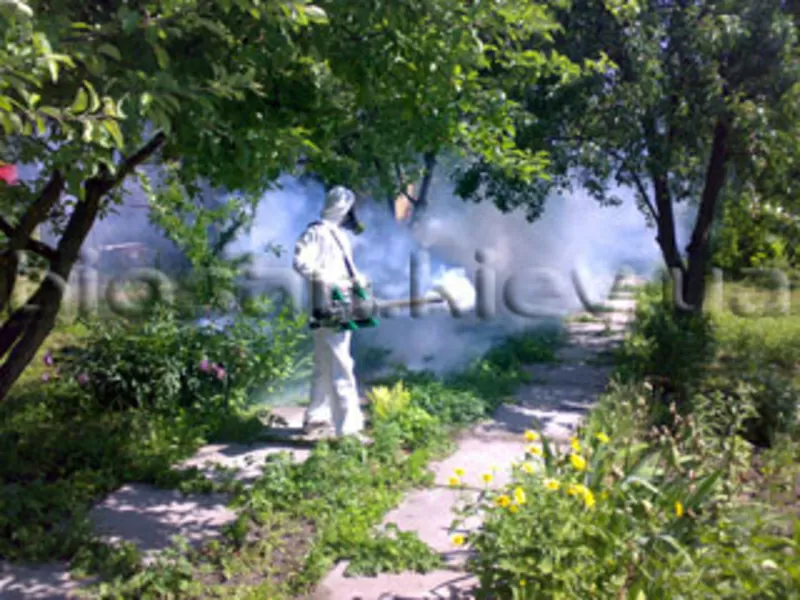 Уничтожение вредных насекомых. 5