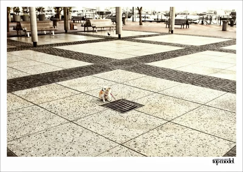 укладка тротуарной плитки фэмов установка бордюров подготовка основан