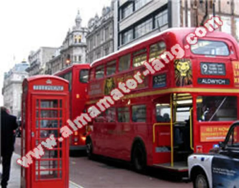 Изучение шведского языка   Onlinе обучение  