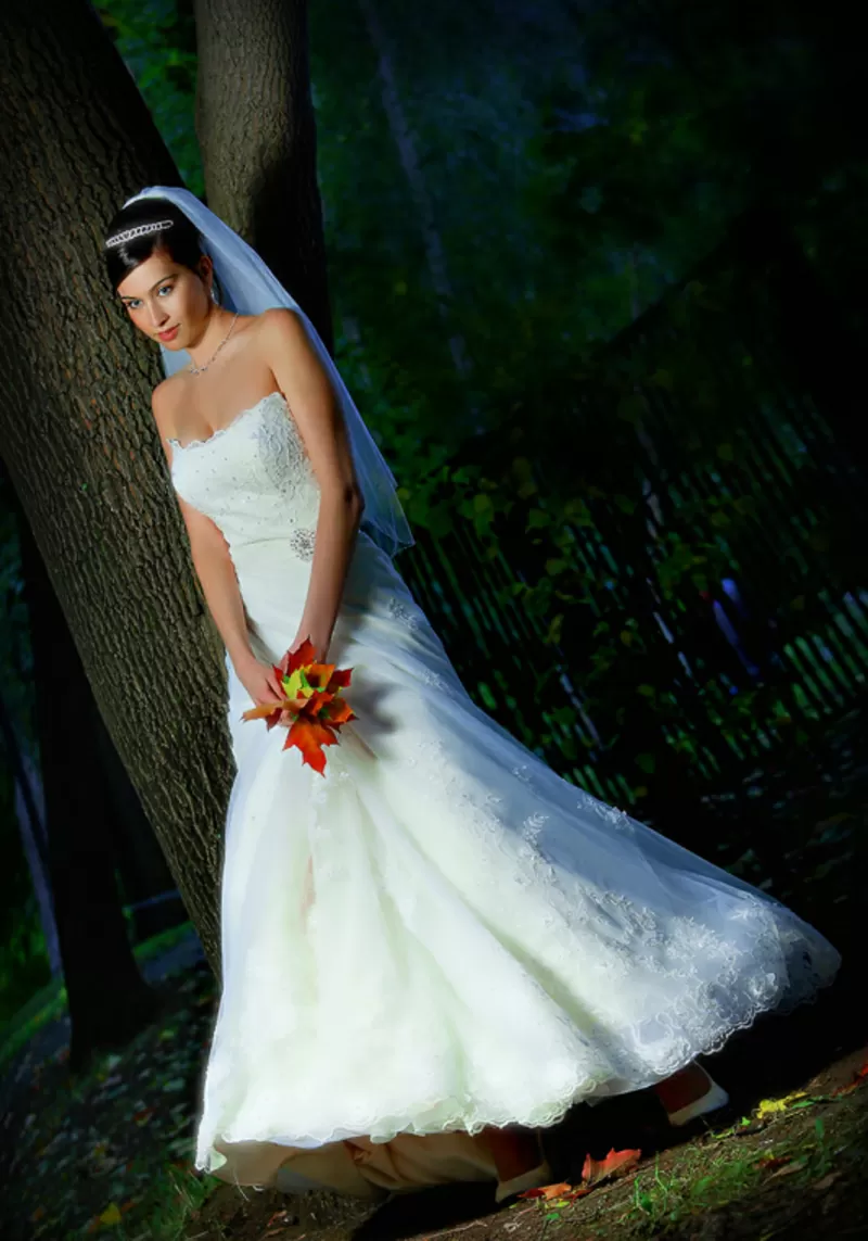 Свадебный Фотограф, Видео съемка, Визаж г.Киев 2