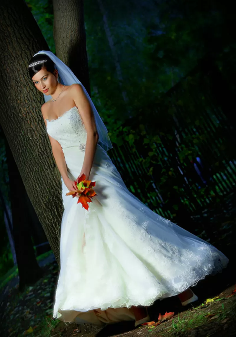 Свадебный Фотограф, Фотосессия, Видео, Визаж г.Киев 6