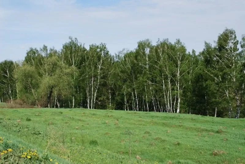 Бородянский р-н,  с. Буда-Бабинецкая. Участок 25 сот.