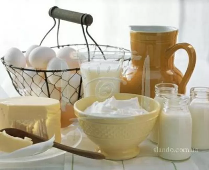 Свежее домашнее молоко, творог, сметана, яйца, мед. Возможна доставка