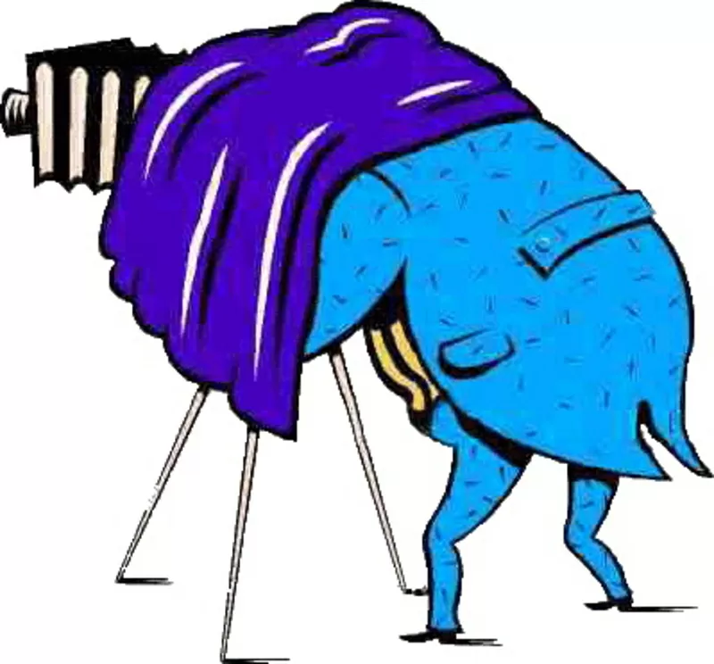 Тамада, музыка, свет видео, фото Киев