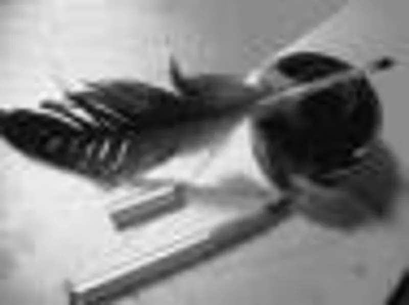 Стихи на заказ! Поздравления к любому празднику! Качественно,  оригинал