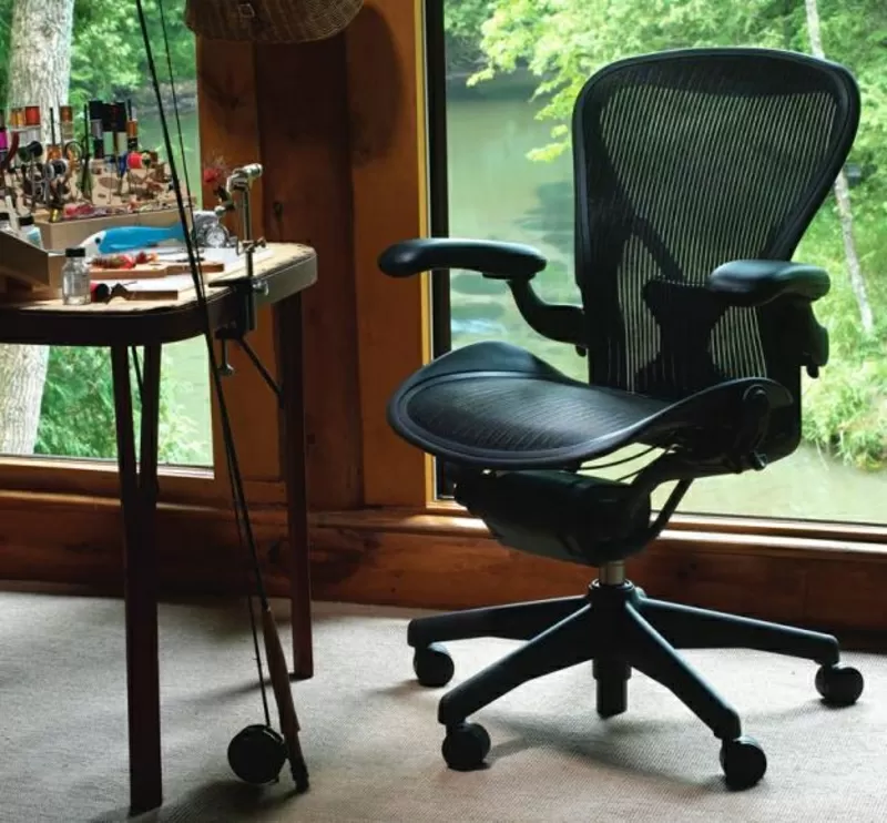 Herman Miller Aeron,  PostureFit офисное кресло 2