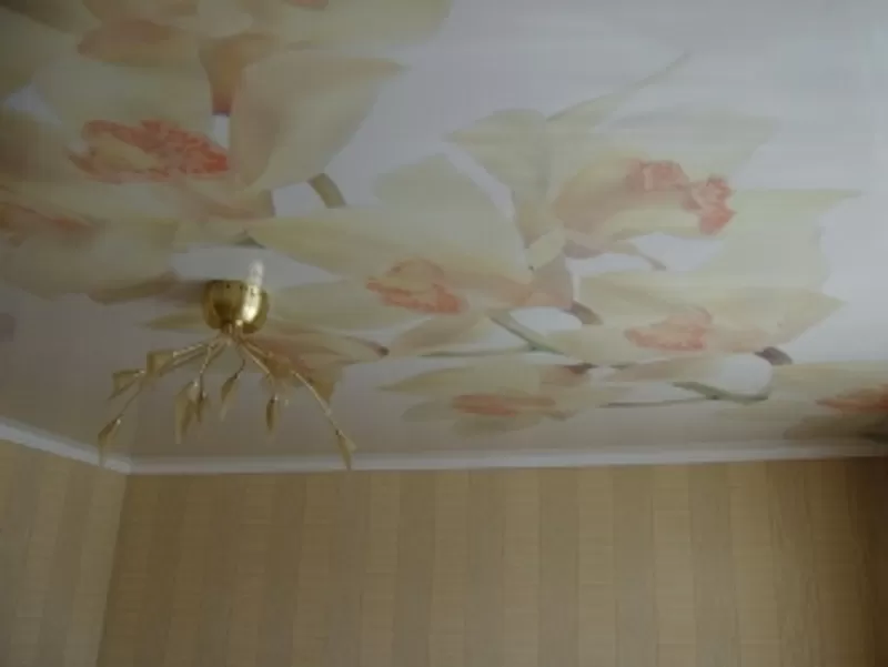 Французские натяжные потолки в Киеве 2