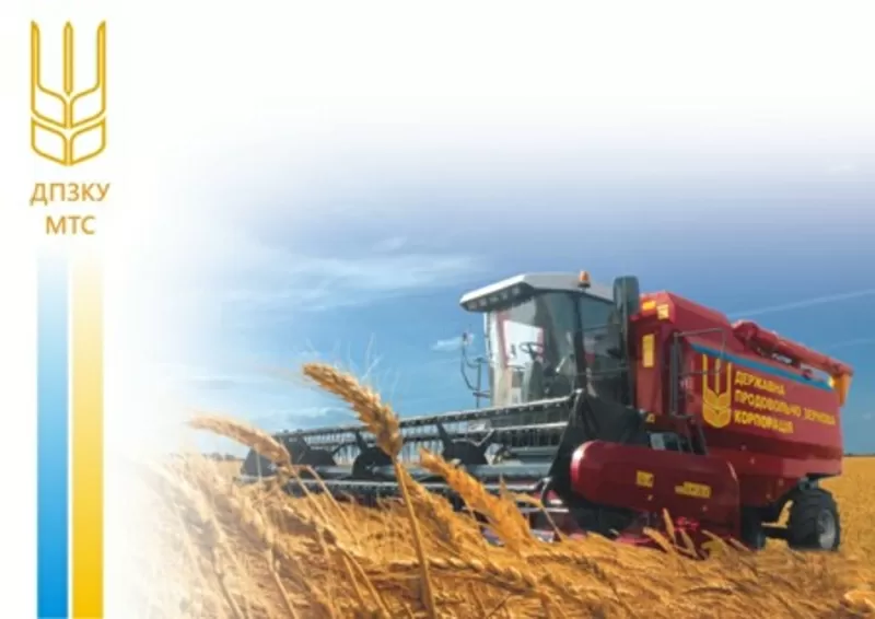 Услуги по перевозке сельхоз культур (КАМАЗ и MAN).