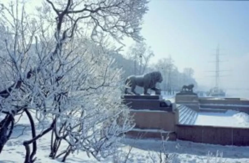 тур петербург новый год,  экскурсия петербург рождество,  туры питер 