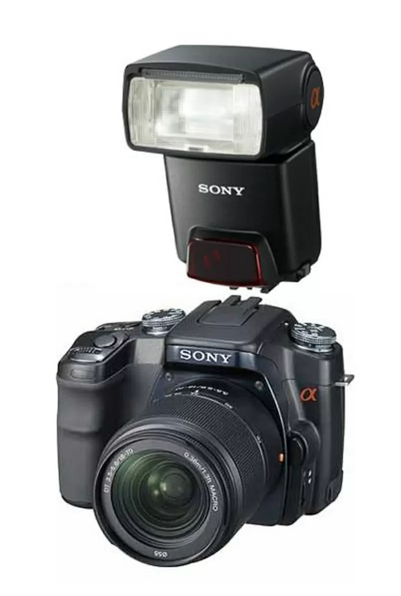 Тамада, живая музыка, свет видео, фото. 4