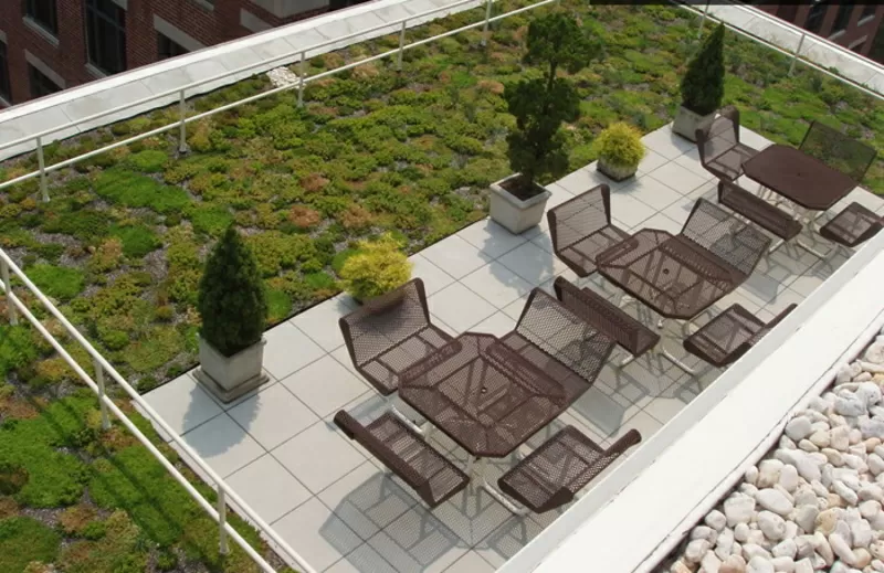 ландшафтный дизайн от Патоля : зеленые кровли и газоны 