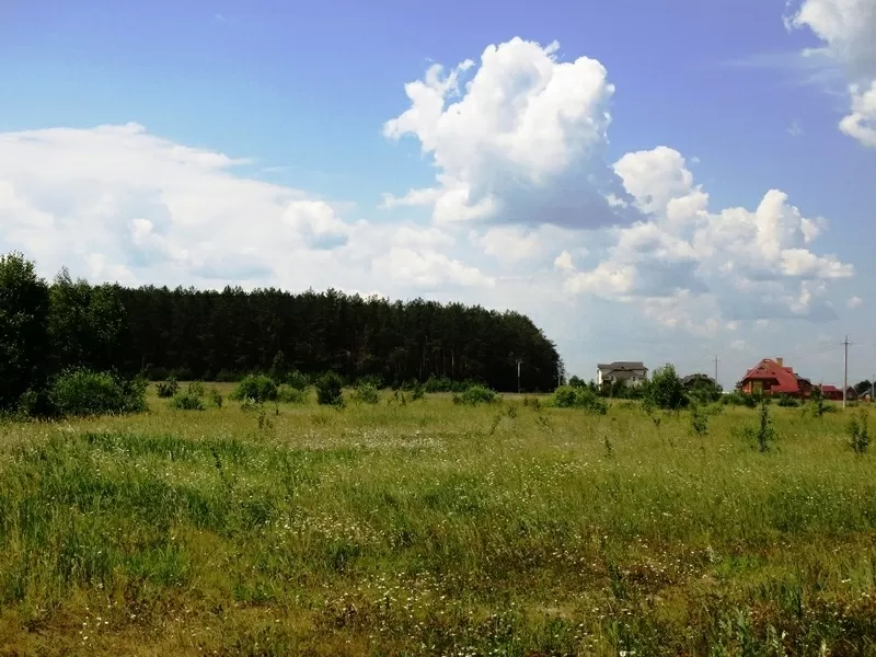  11 га под строительство,  Березовка,  Киев 17 км,  возле леса,  трасса Е-40 (на Европу)