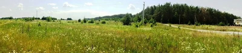  11 га под строительство,  Березовка,  Киев 17 км,  возле леса,  трасса Е-40 (на Европу) 5