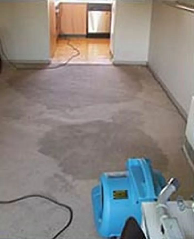 Химчистка ковролина Киев 9