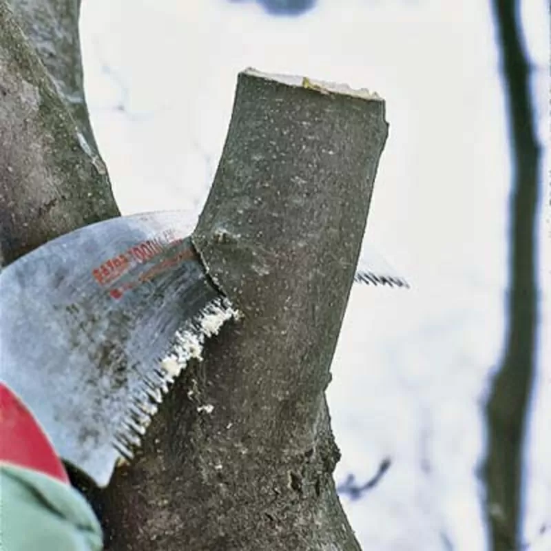 Аварийный спил деревьев,  уборка участка,  обрезка сада.