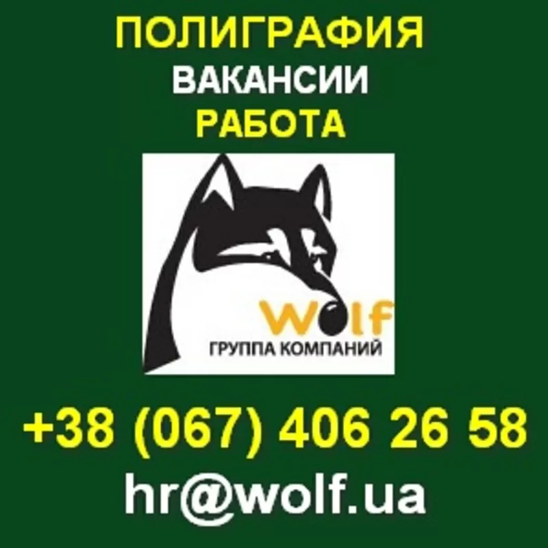 Открыты вакансии! Стабильная работа, обучение, рост. Киев.