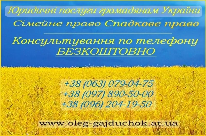 Юридичне вирішення сімейних спорів - приватний юрист Олег Гайдучок