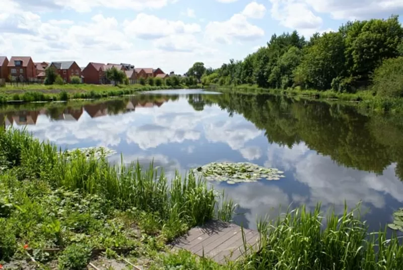 ОЧИСТКА ВОДОЕМА, ОЗЕЛЕНЕНИЕ ТЕРРИТОРИИ.