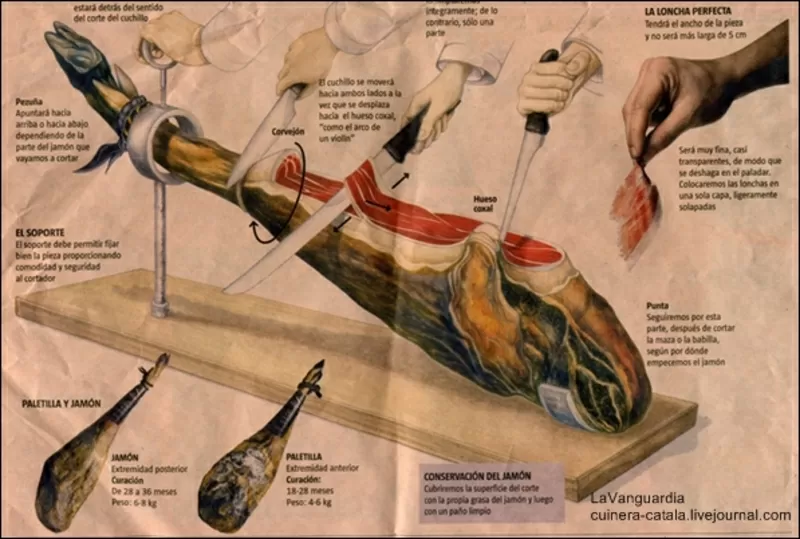 Продажа хамона (Испания) по Украине 3