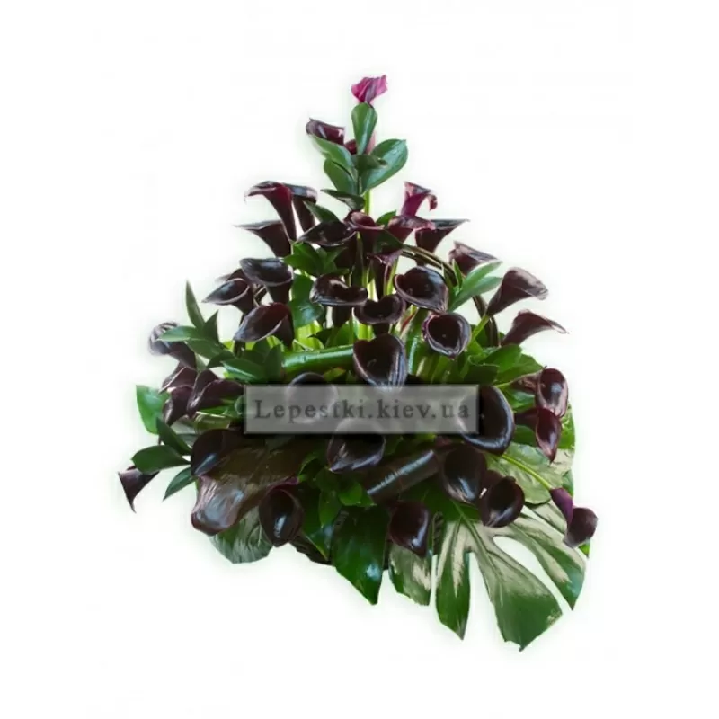 Траурная флористика 3