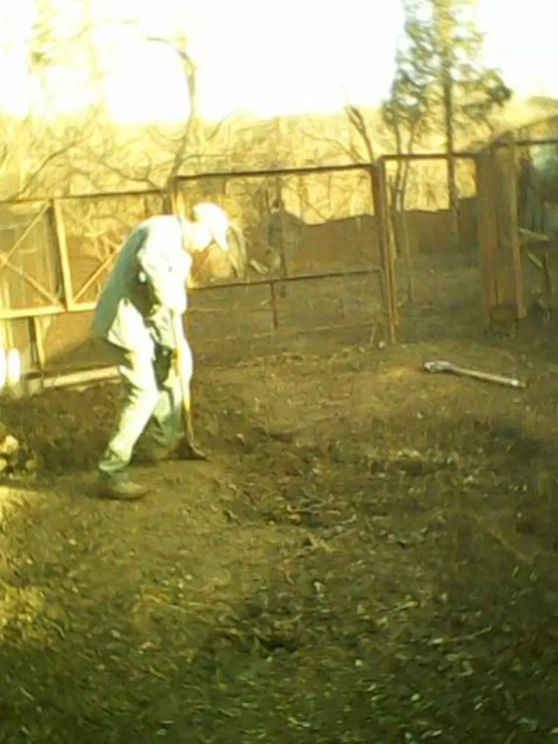 Вырубка участка Выкорчевка деревьев пней зарослей