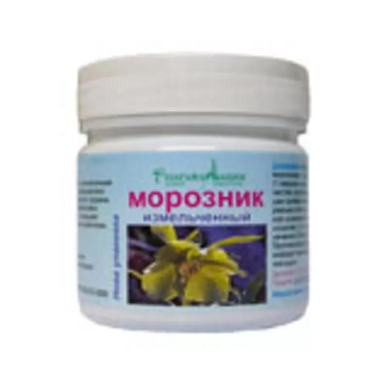 Морозник кавказский 