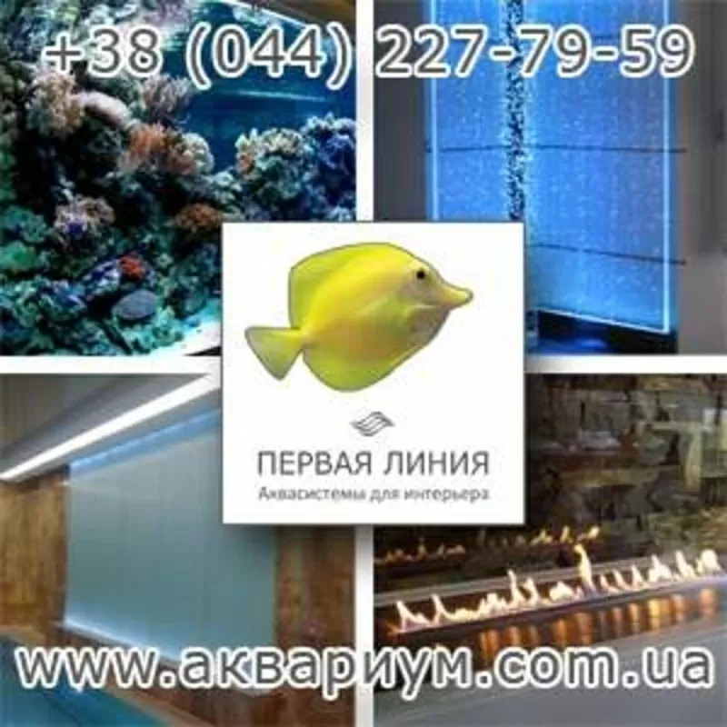 Заказать, купить Аквасистемы для интерьера, Аквариумы. Киев.