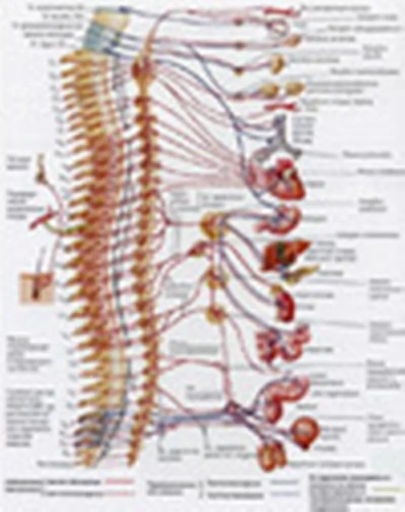 Ведунья по роду - парапсихолог-диагност-целитель. Восстановлю здоровье 5