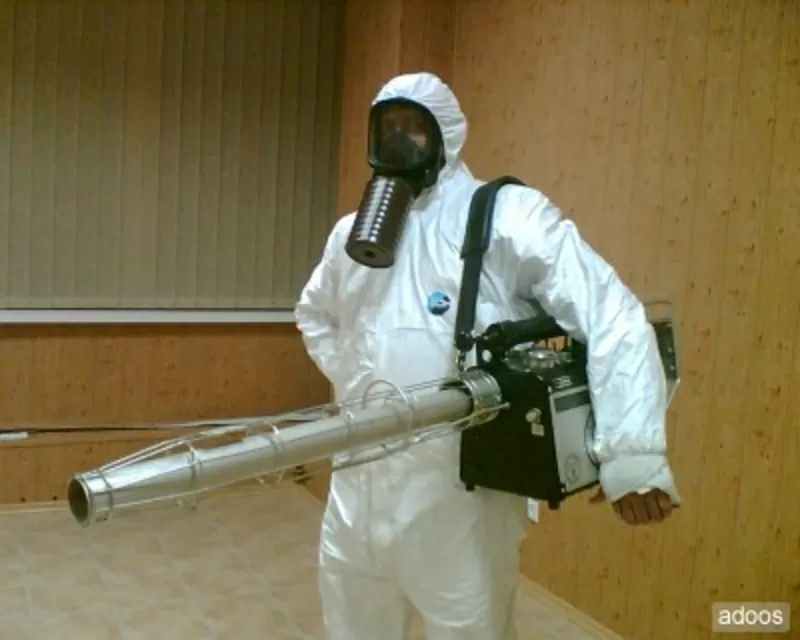 Дезинфекция, Дезинсекция, Дератизация, Фумигация