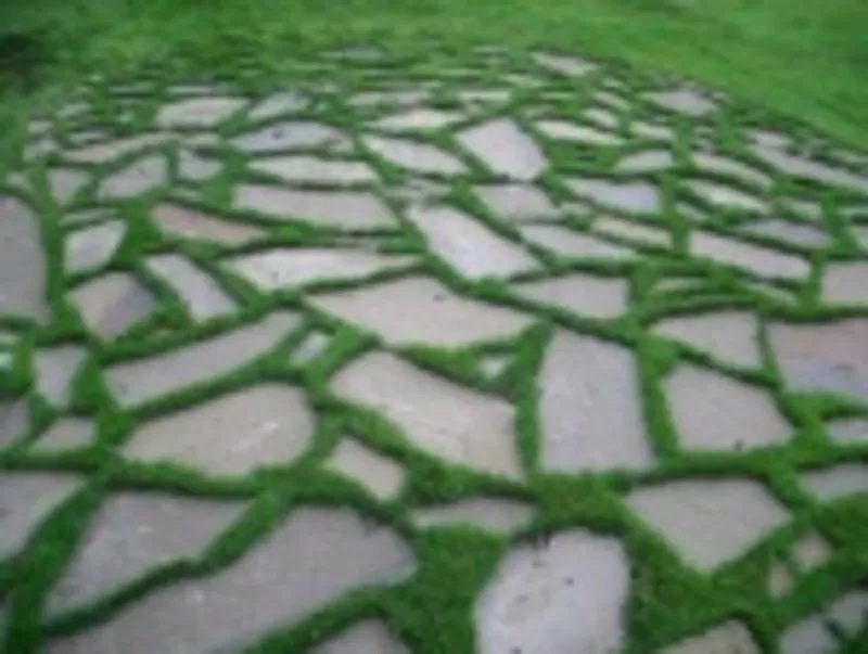 Ландшафтный дизайн 5