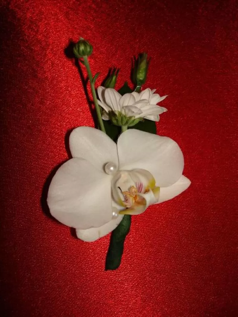 свадебный букет из орхидей 2