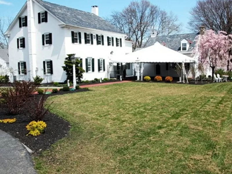 Реставрация газонов