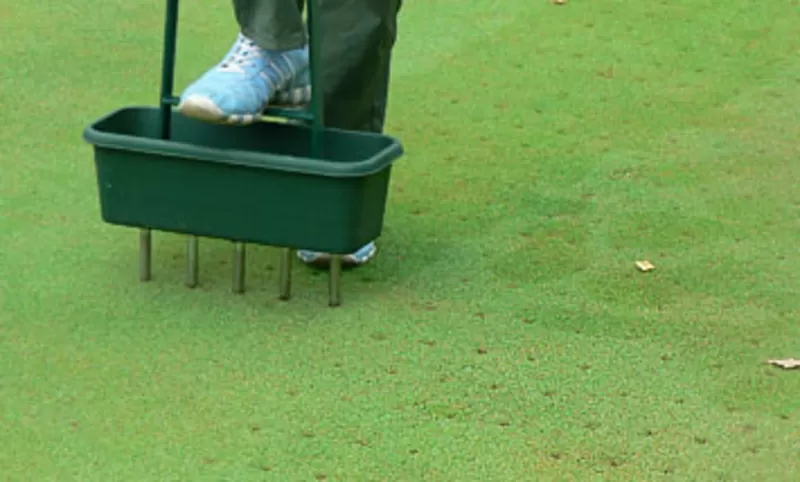 Реставрация газонов 2