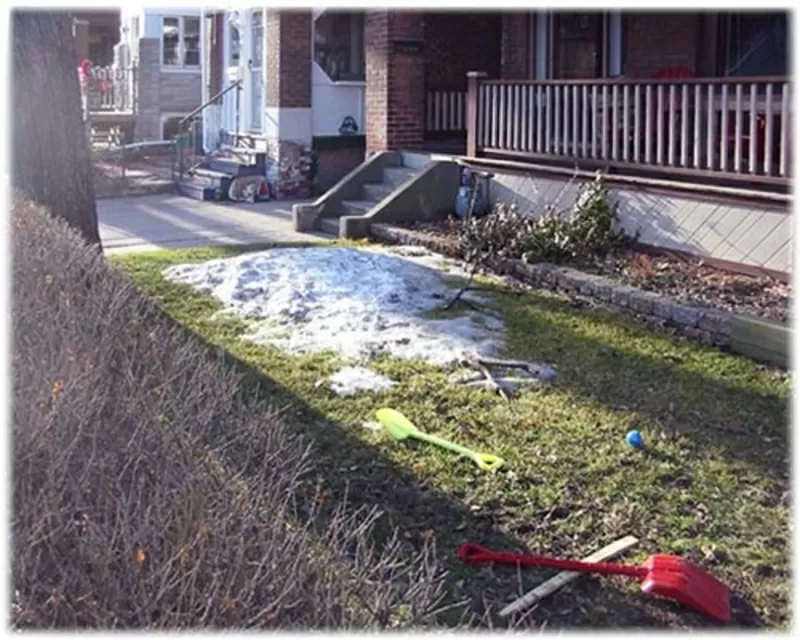 Реставрация газонов 5