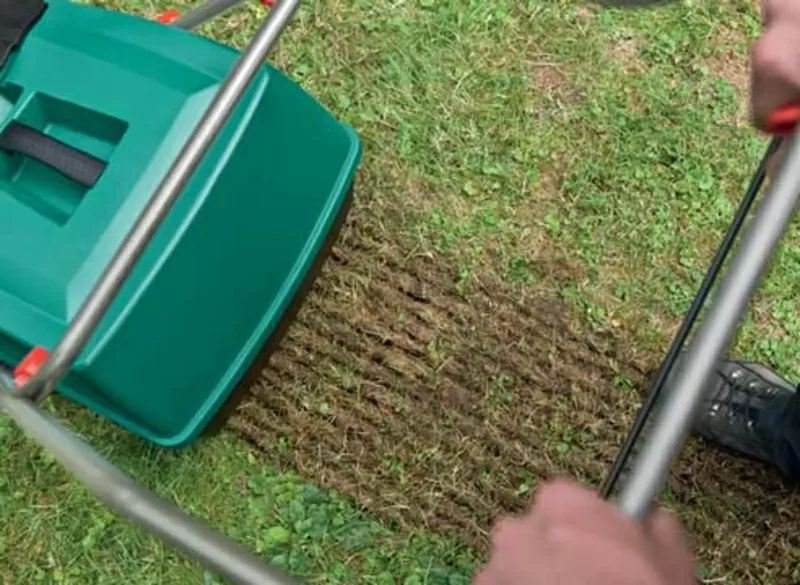 Реставрация газонов 6