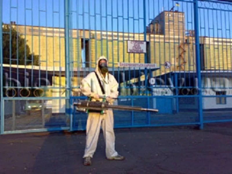 Комплексное уничтожение насекомых, грызунов.