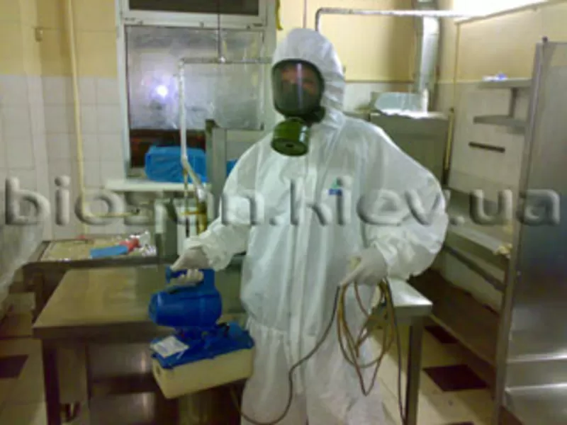 Комплексное уничтожение насекомых, грызунов. 2