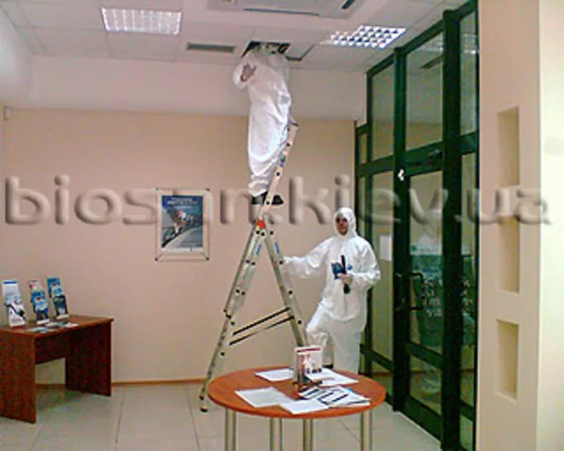 Комплексное уничтожение насекомых, грызунов. 3