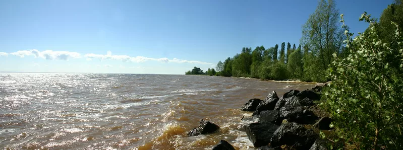 Участок с парком по 1-й линии от воды Днепра 