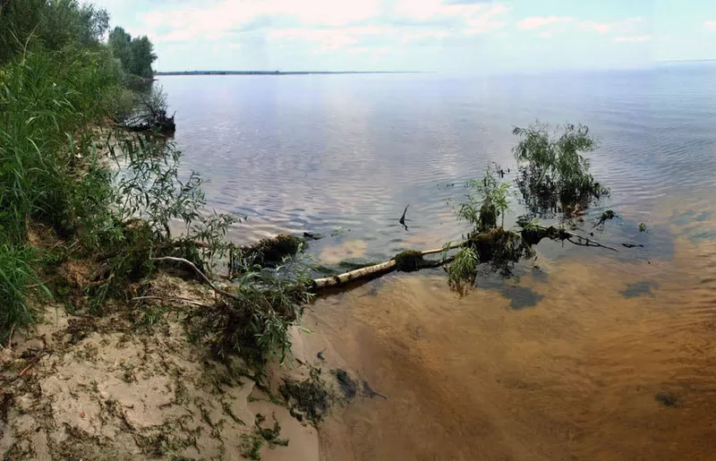 Участок с парком по 1-й линии от воды Днепра  3