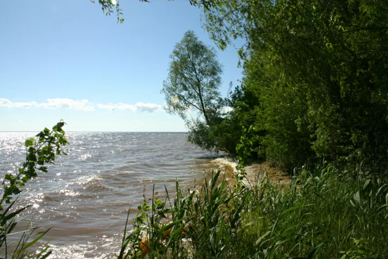 Участок с парком по 1-й линии от воды Днепра  7