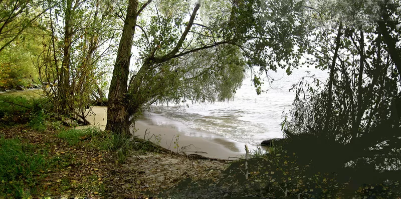 Участок с парком по 1-й линии от воды Днепра  13