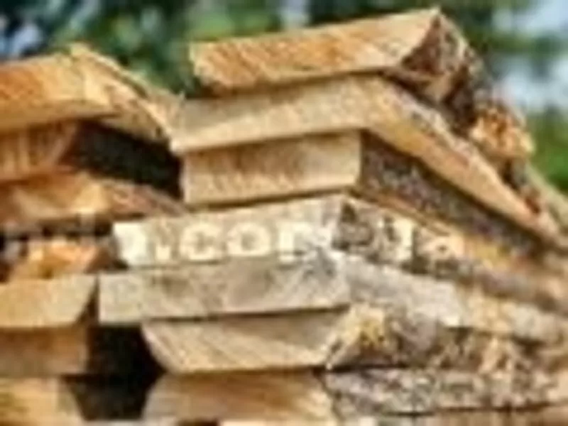 Предлагаем доску сухую необрезную столярного качества