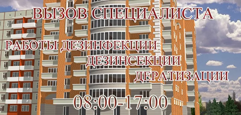 Очистка от инфекций, насекомых и грызунов, тараканов, Белая Церковь