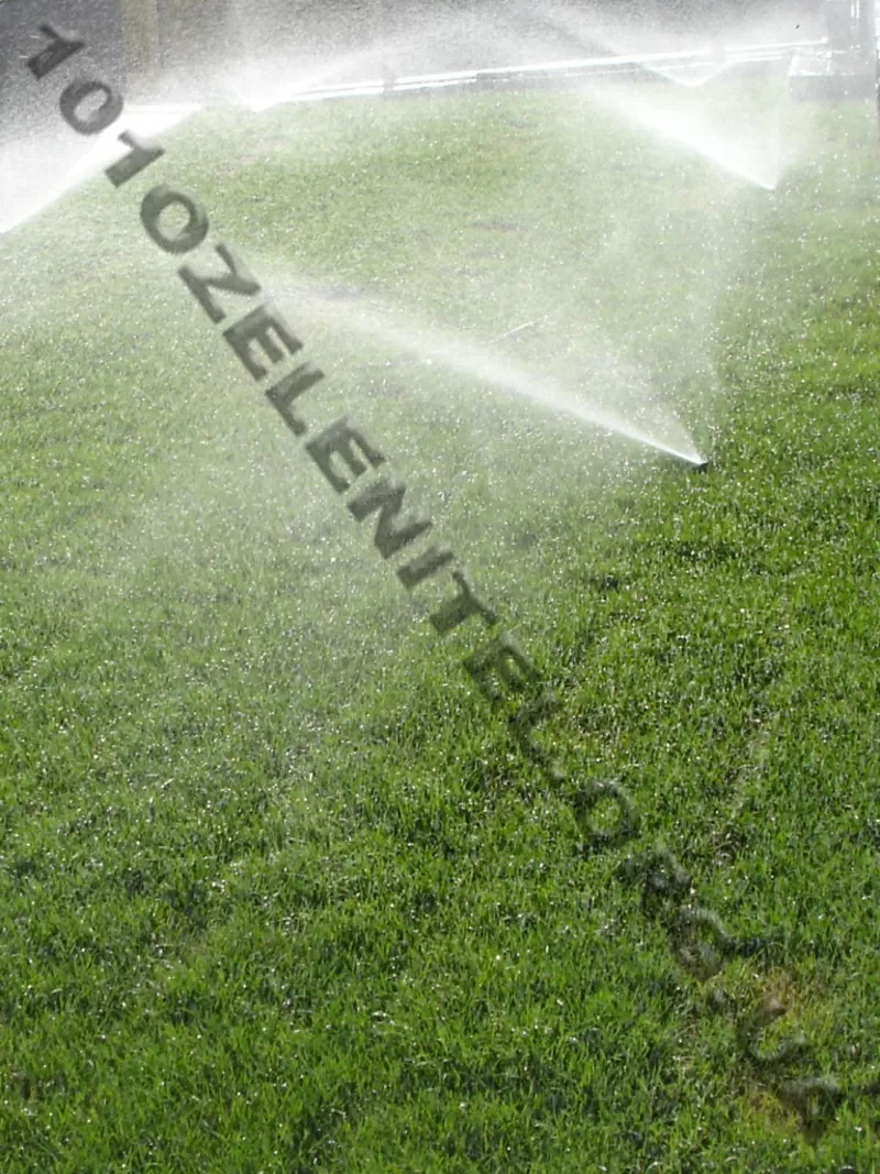 Автоматический полив и капельное орошение.