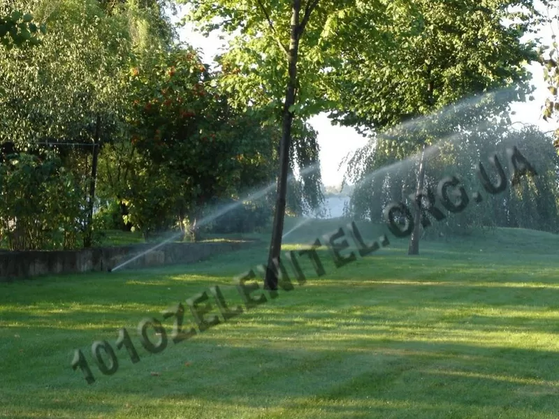 Автоматический полив и капельное орошение. 2