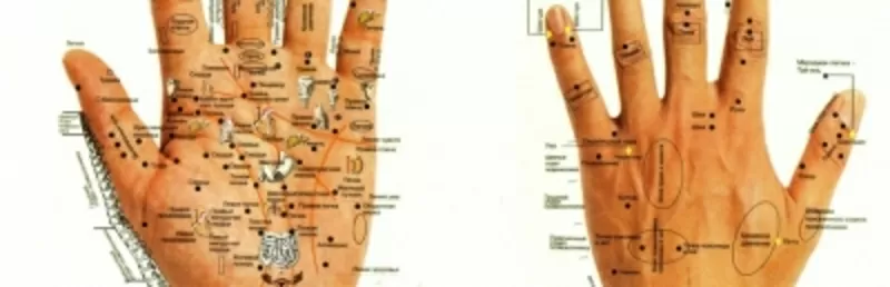 Полная диагностика всего организма по методу акупунктуры